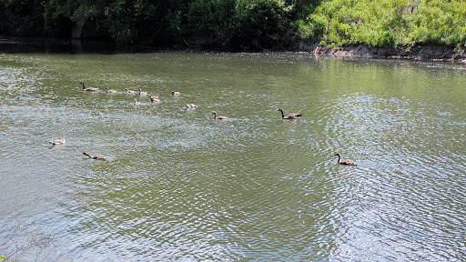 Park «Horner Park», reviews and photos, 2741 W Montrose Ave, Chicago, IL 60618, USA