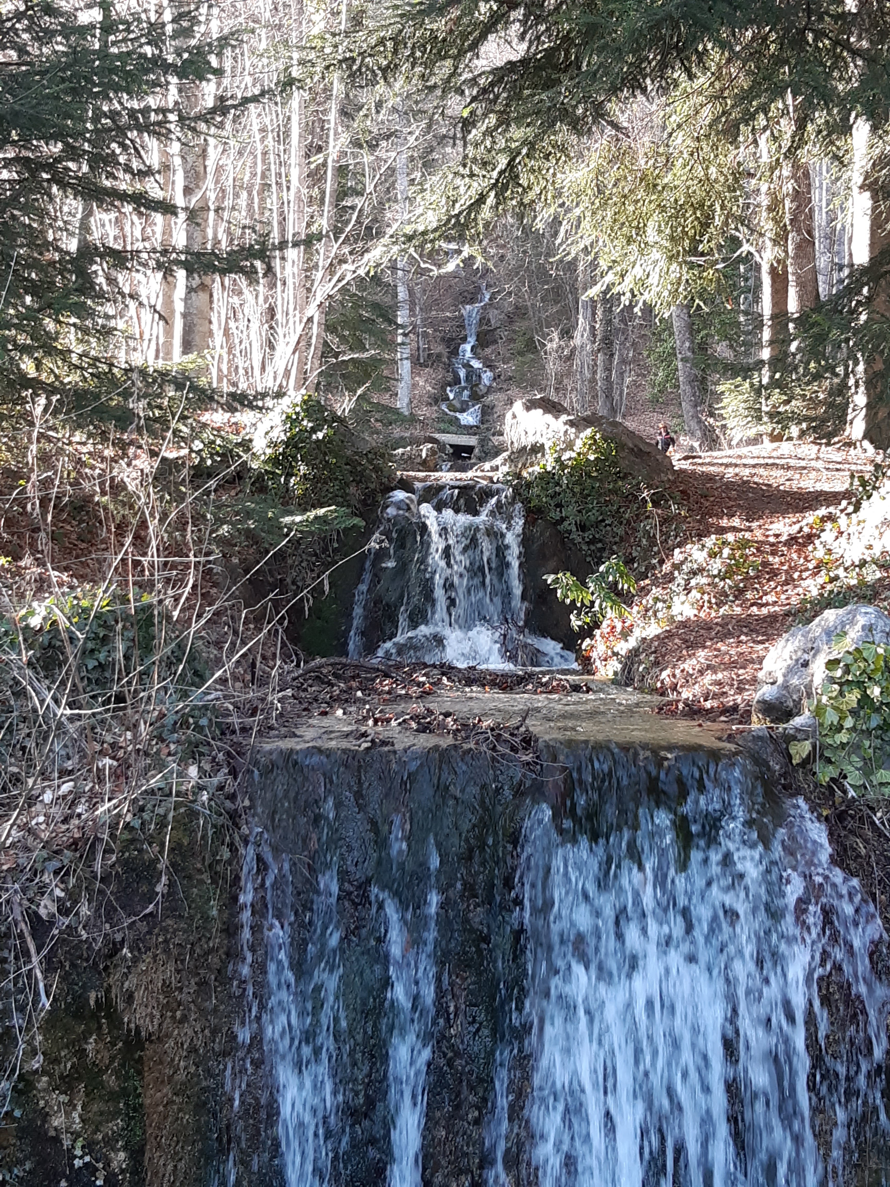 Photo n° 11 de l'avis de FREDERIQUE.U fait le 26/02/2021 à 15:50