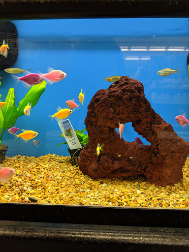 Pet Supply Store «Petco Animal Supplies», reviews and photos, 9 W Avon Rd, Avon, CT 06001, USA