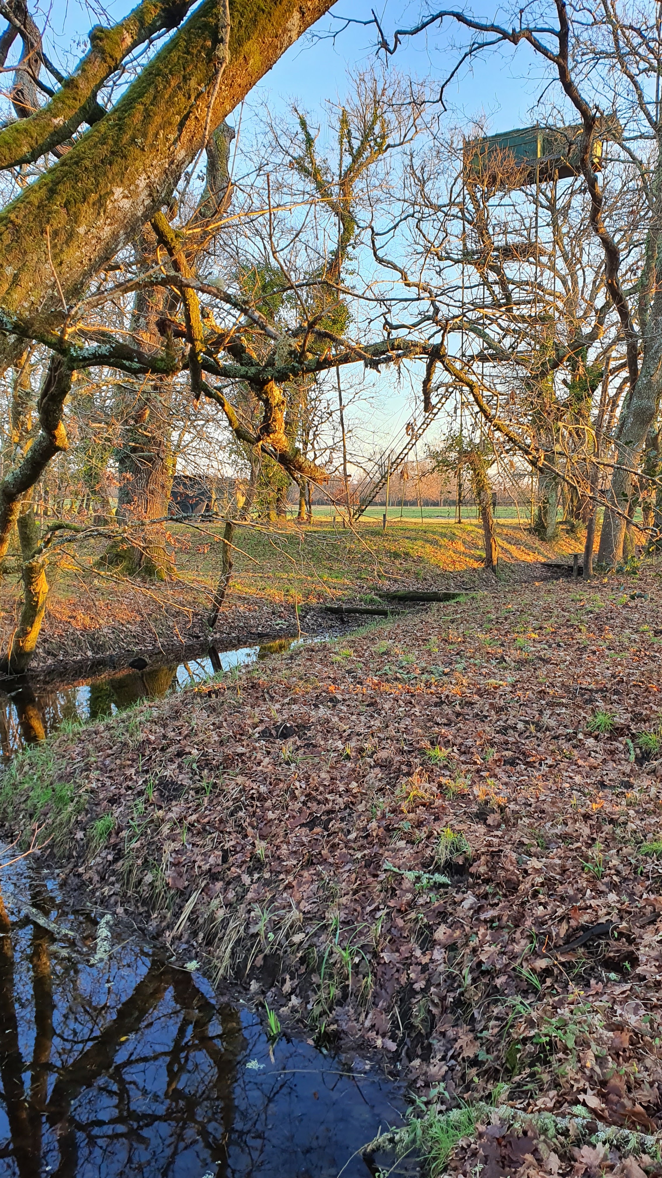 Photo n° 5 de l'avis de Julien.e fait le 15/01/2022 à 16:57