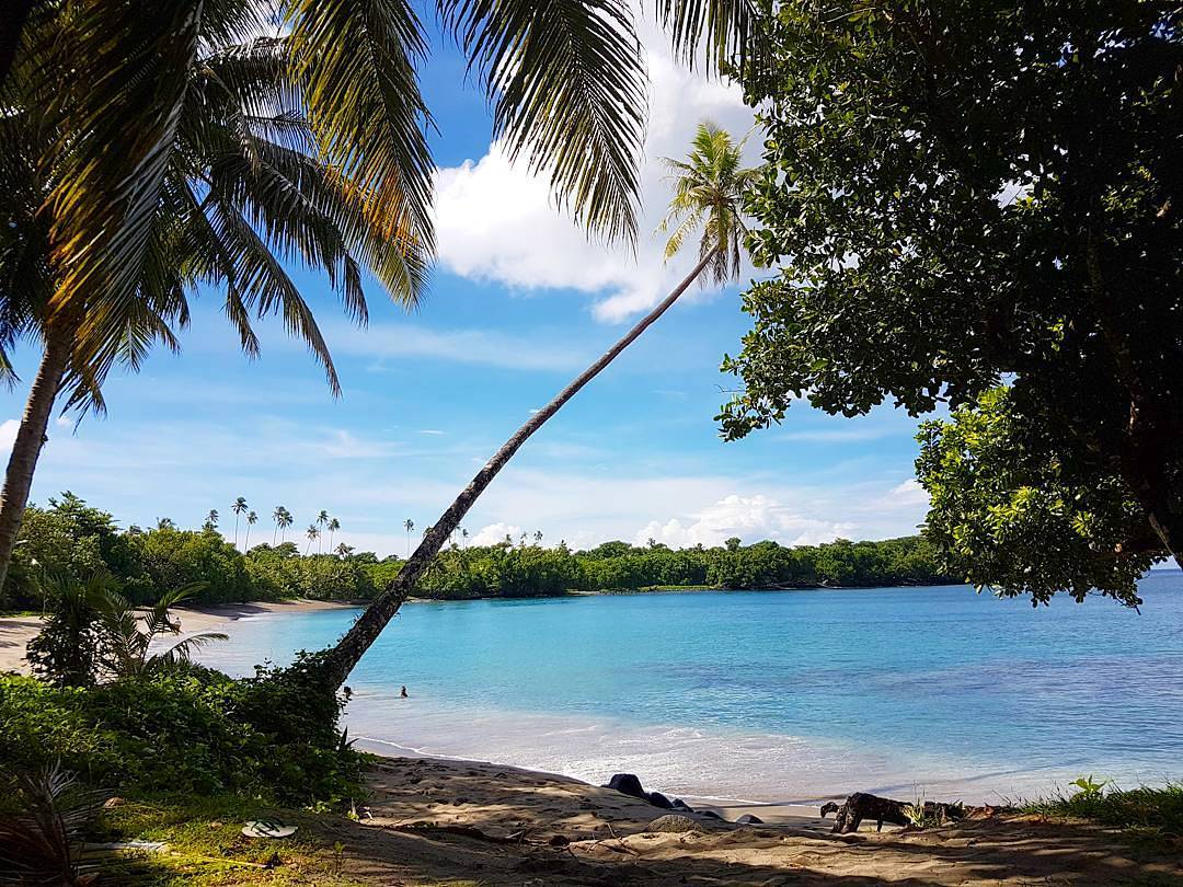 Foto di Cape Niuato'i beach con una superficie del sabbia beige