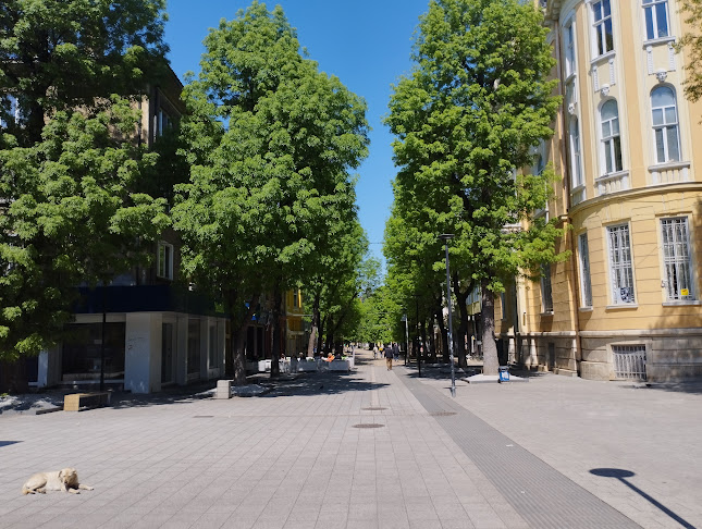 Opinii despre Yettel în Плевен - Куриерска услуга