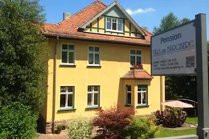 Pension Villa am Burgberg image