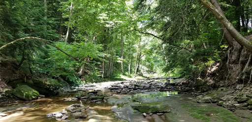 Tourist Attraction «Winsdor Mills Covered Bridge», reviews and photos, 7696 Warner Hollow Rd, Windsor, OH 44099, USA