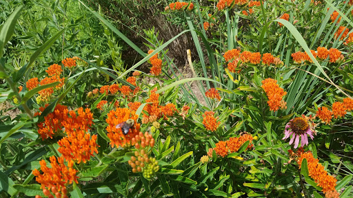 Visitor Center «Golden Pond Visitor Center & Planetarium», reviews and photos, 238 Visitor Center Dr, Golden Pond, KY 42211, USA