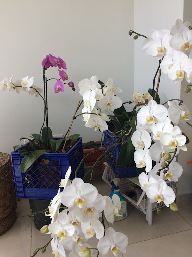 Department Store «Marshalls», reviews and photos, 1431 NY-300, Newburgh, NY 12550, USA