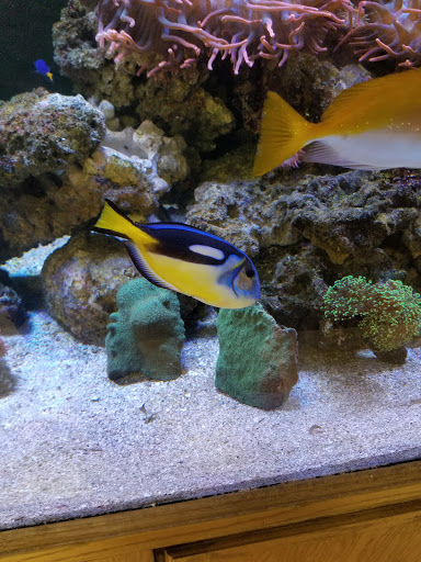 Pet Store «M V Pets», reviews and photos, 7429 S Westnedge Ave, Portage, MI 49002, USA