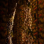 Photo n°2 de l'avis de Walter.i fait le 11/02/2023 à 21:55 sur le  Meridiana Lounge à Pignataro Interamna