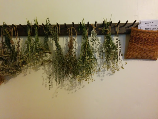 Museum «Spanish Military Hospital Museum», reviews and photos, 3 Aviles St, St Augustine, FL 32084, USA