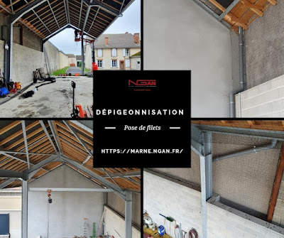 NGAN MARNE - Entreprise Anti-Nuisibles à Sommesous