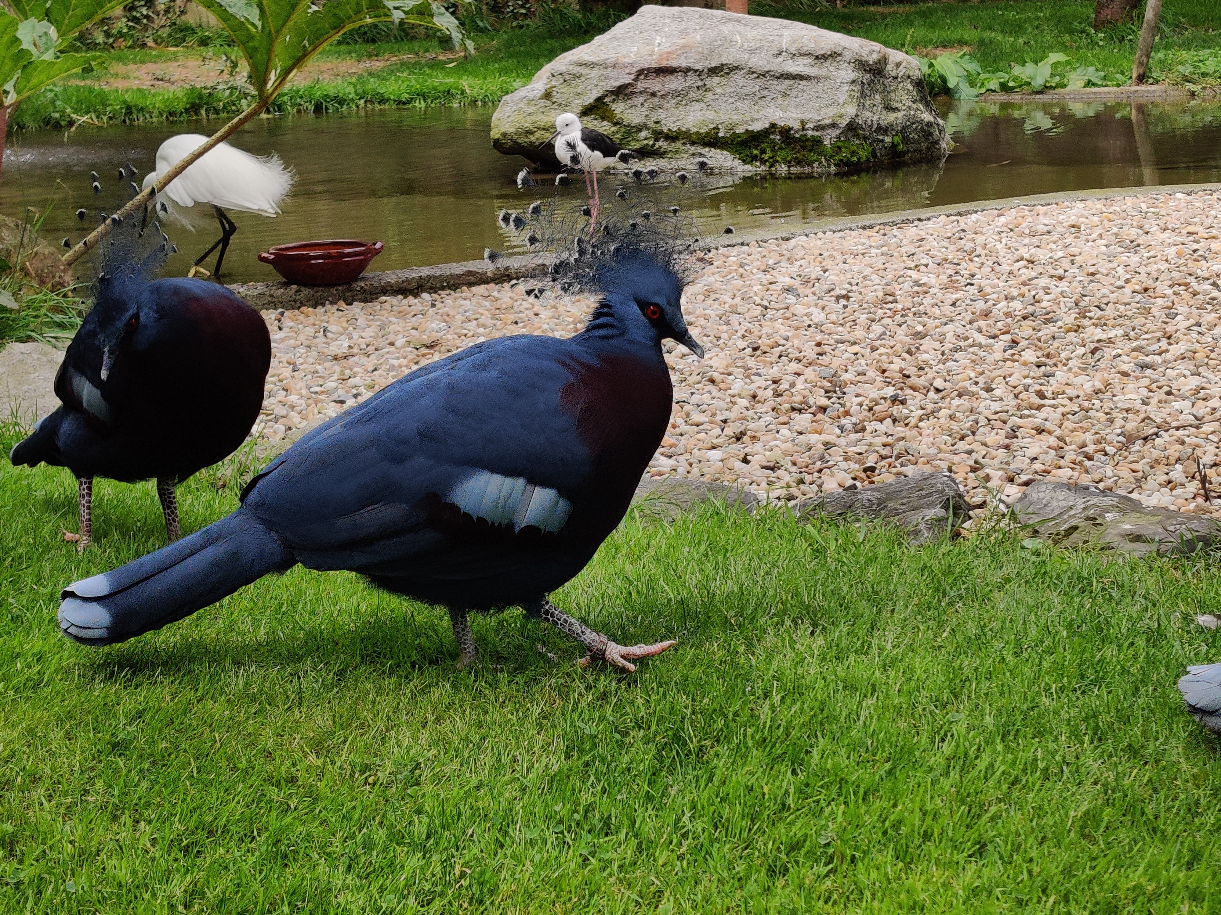 Photo n° 13 de l'avis de Emilie.a fait le 06/08/2023 à 13:12