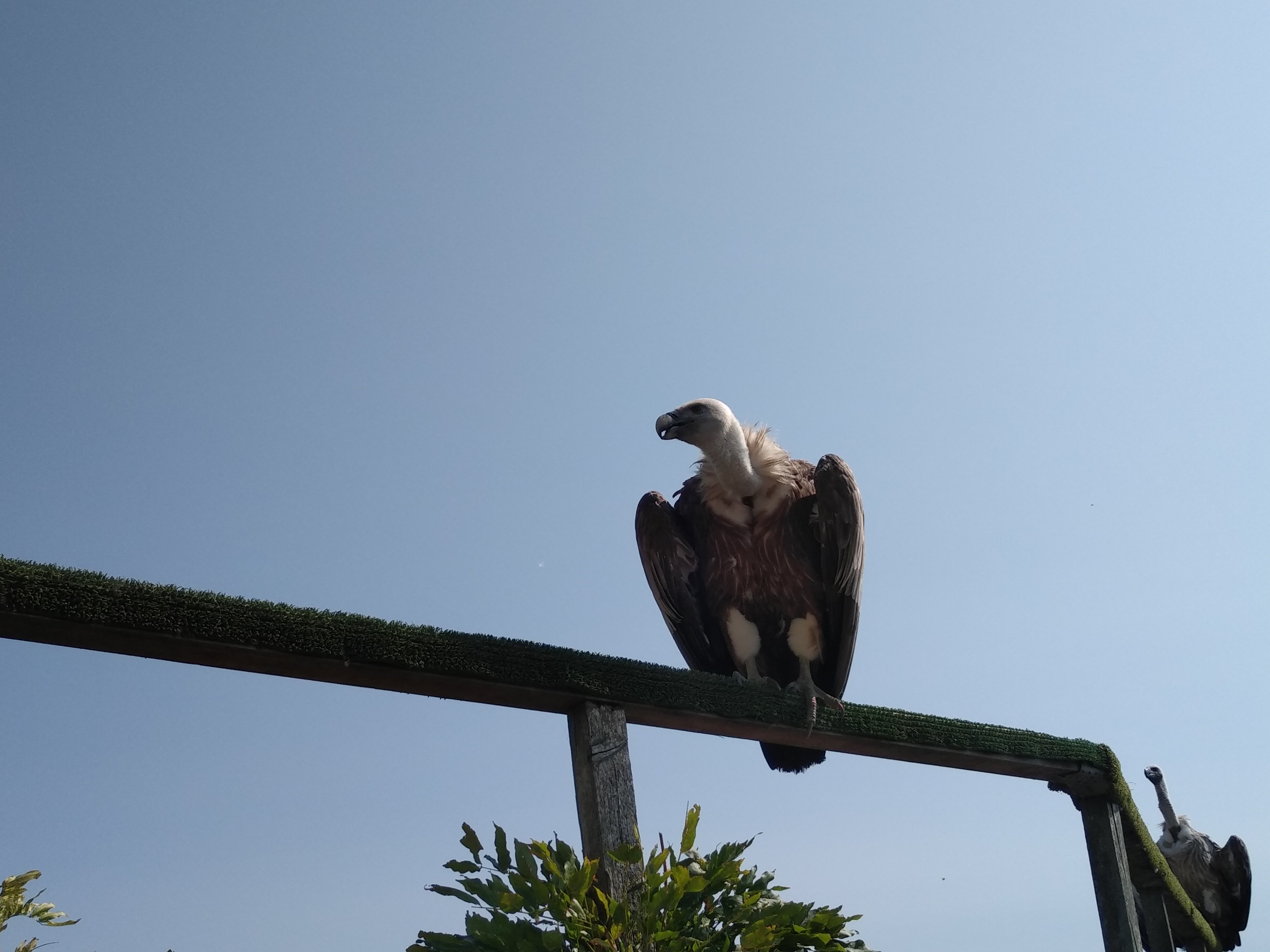 Photo n° 2 de l'avis de Betty.a fait le 13/09/2020 à 08:01