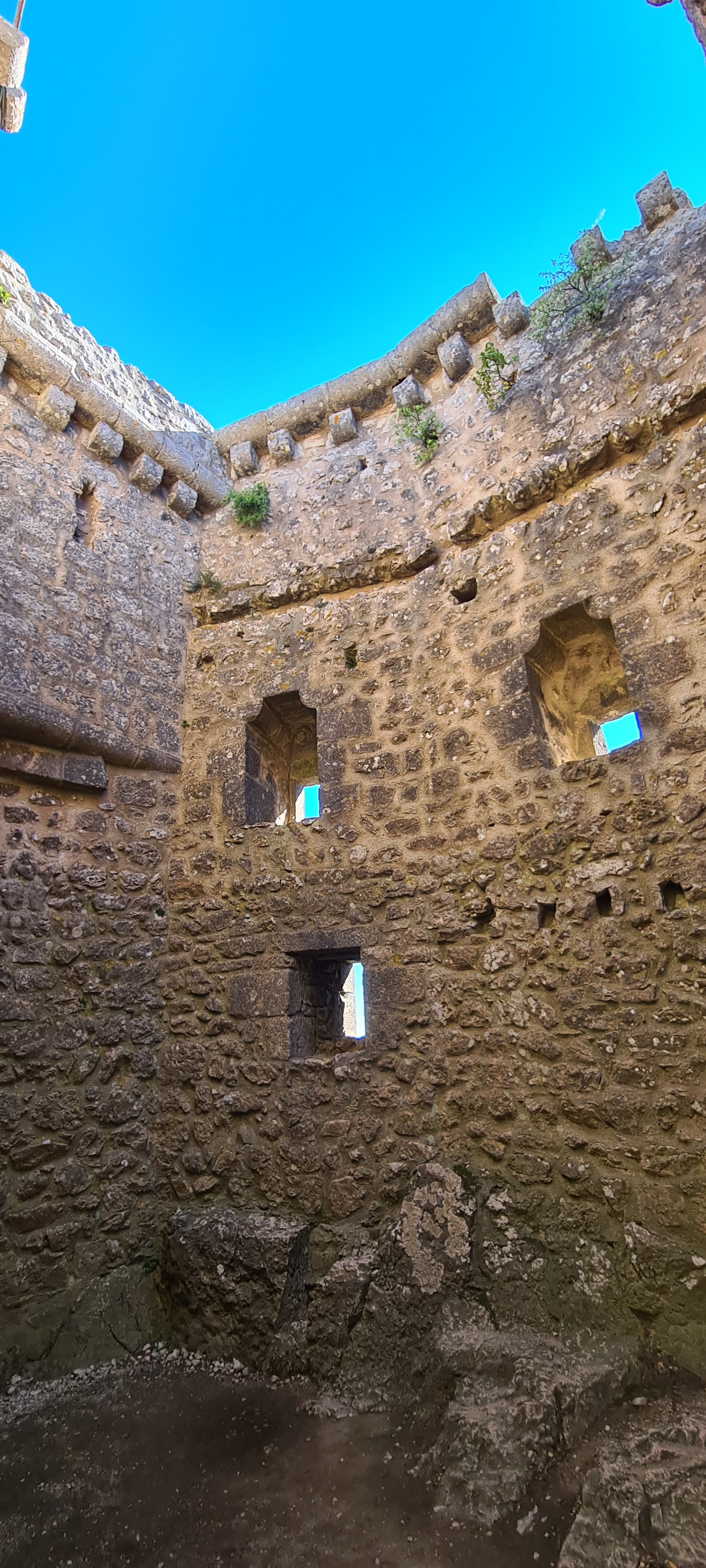 Photo n° 36 de l'avis de Franck.e fait le 08/10/2021 à 18:20