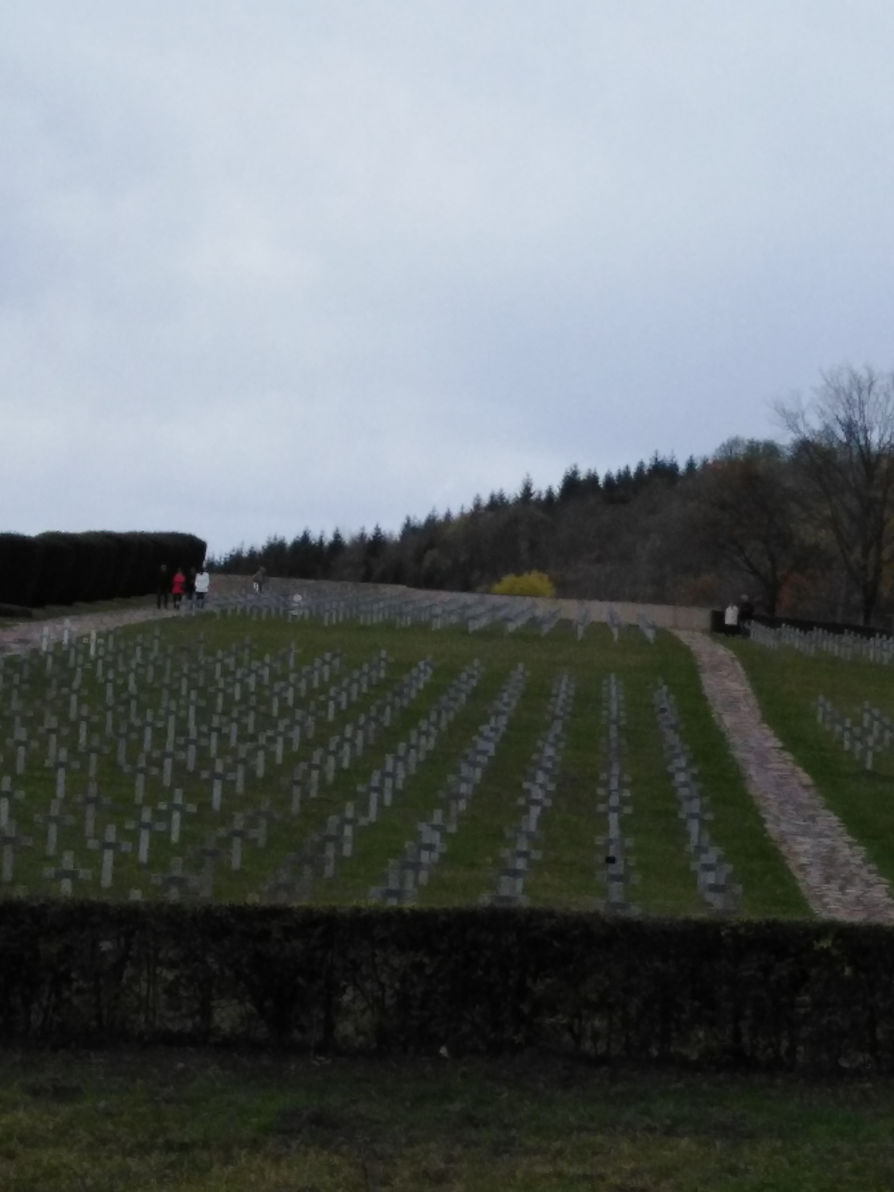 Photo n° 7 de l'avis de Ingrid.o fait le 08/12/2019 à 18:46
