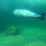 Photo n°8 de l'avis de Andreas.t fait le 01/01/2023 à 16:00 sur le  Aquarium Wilhelmshaven incl. Prehistoric Sea Museum à Wilhelmshaven