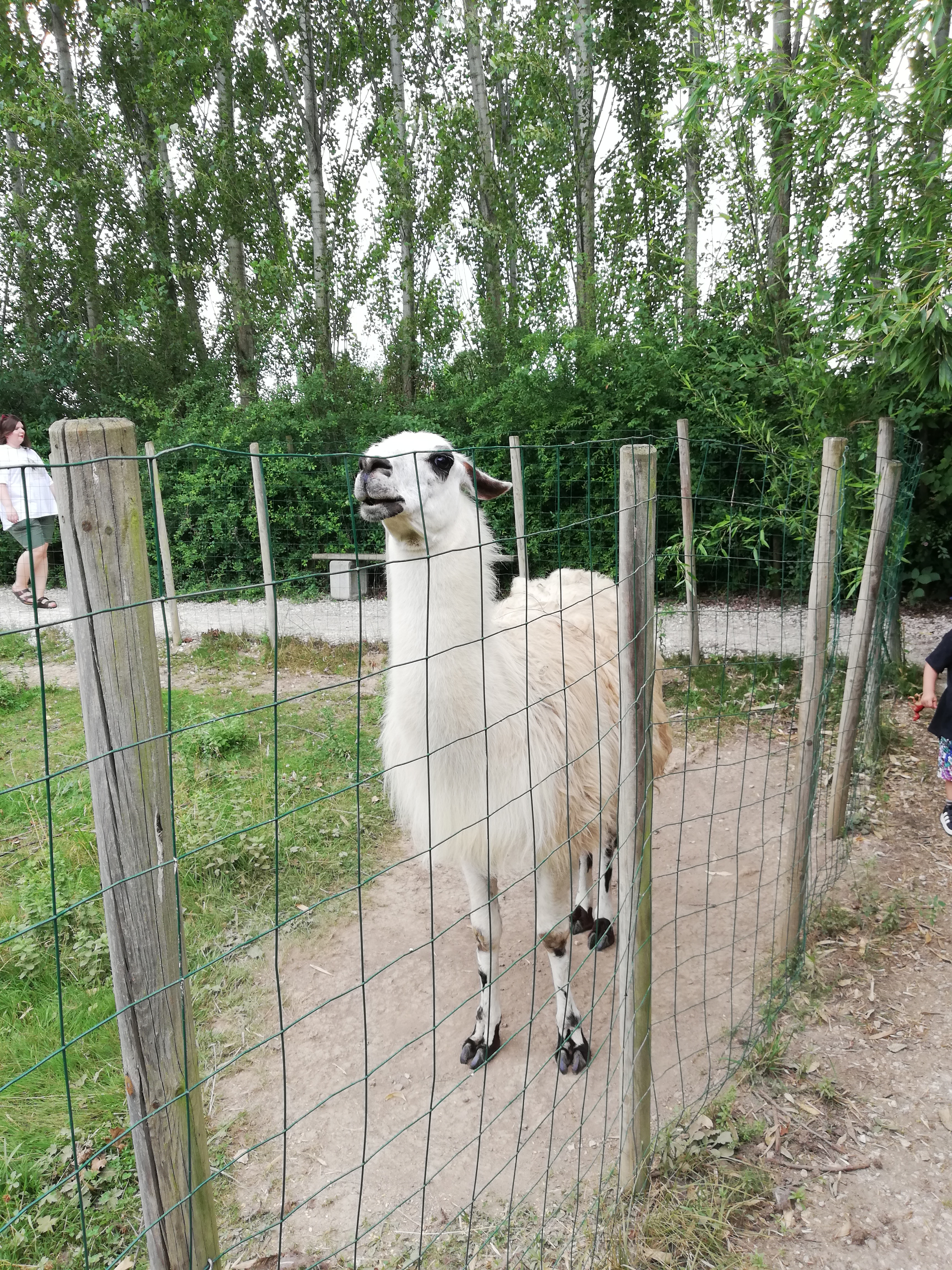 Photo n° 5 de l'avis de Ophelie.h fait le 24/07/2021 à 15:47
