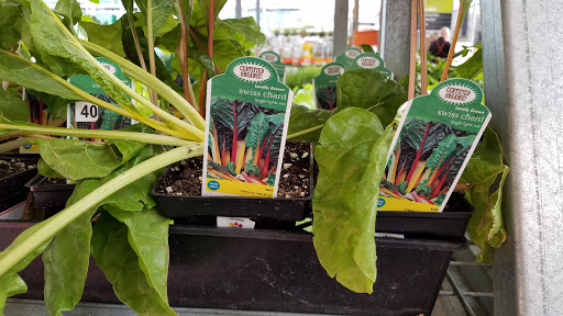 Home Improvement Store «The Home Depot», reviews and photos, 600 S Harbor Blvd, La Habra, CA 90631, USA