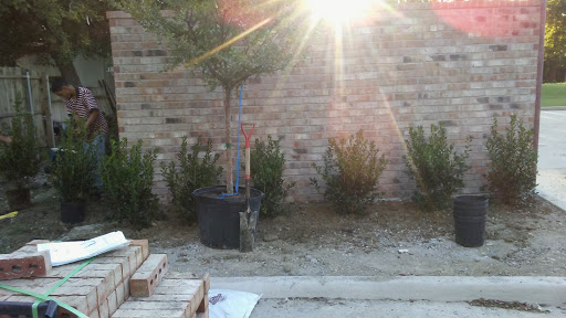 Dollar Store «FAMILY DOLLAR», reviews and photos, 617 N McDonald St, McKinney, TX 75069, USA