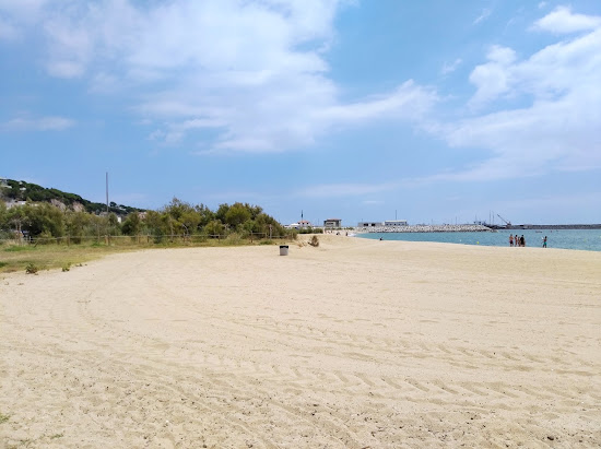 Playa de la Picordia
