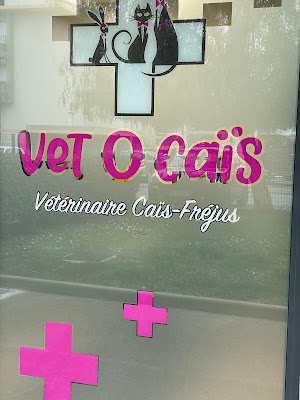 Vétérinaire Vet O Cais - Fréjus DV Laurence VIEVILLE à Fréjus