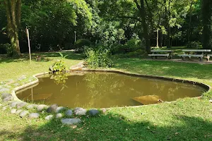 Stream Garden image