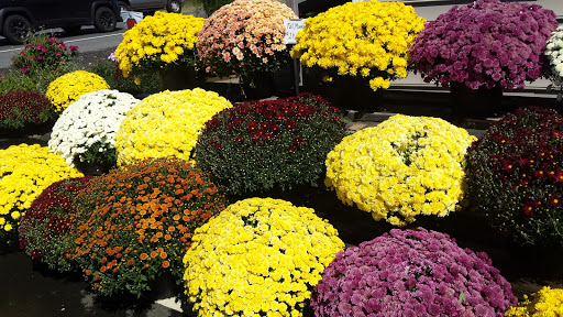 Garden Center «Madison Gardens», reviews and photos, 2705 S Seminole Trail, Madison, VA 22727, USA