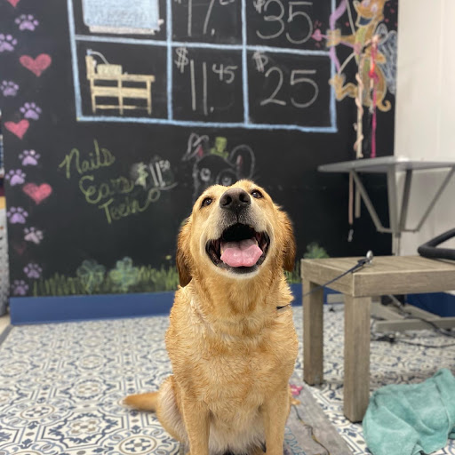 Pet Supply Store «Pet Wants», reviews and photos, 9486 S Union Square, Sandy, UT 84070, USA