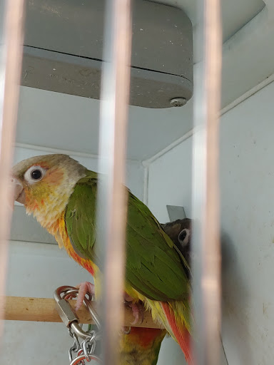 Pet Supply Store «Pet Supplies Plus», reviews and photos, 14839 Detroit Ave, Lakewood, OH 44107, USA