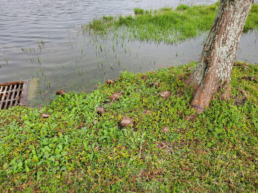 Recreation Center «Wa-Ke Hatchee Park Recreation Center», reviews and photos, 16760 Bass Rd, Fort Myers, FL 33908, USA