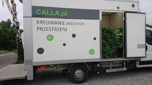 CALLA.pl