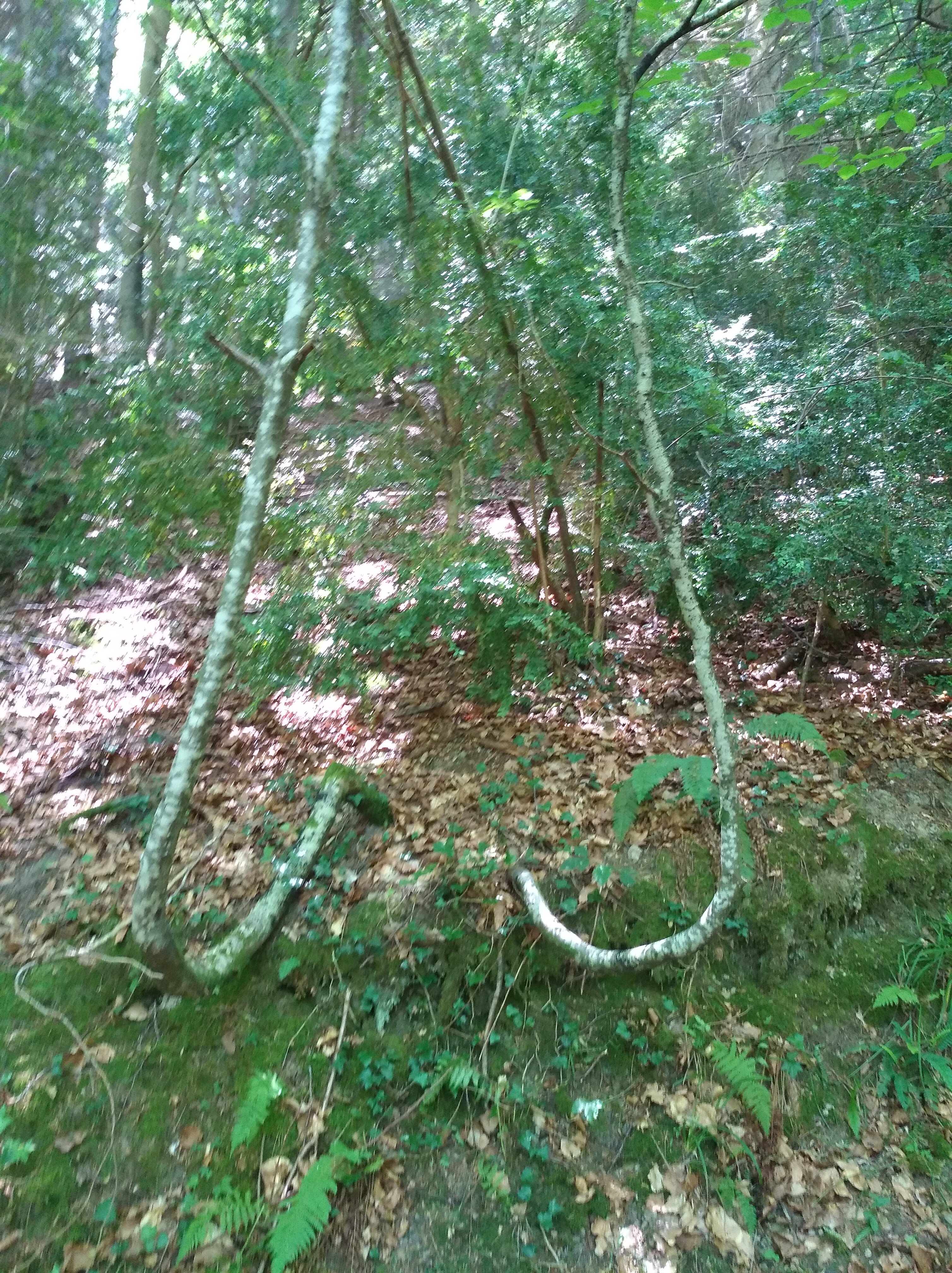 Photo n° 19 de l'avis de Nadine.o fait le 17/07/2018 à 15:02
