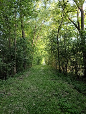Menasha Conservancy Area - photo 37