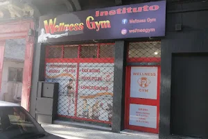 Wellnes Gym image