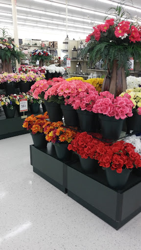 Craft Store «Hobby Lobby», reviews and photos, 800 Hover St, Longmont, CO 80501, USA