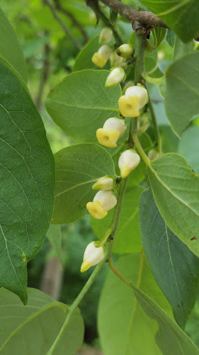 State Park «Natchez Trace State Park», reviews and photos, 24845 Natchez Trace Rd, Wildersville, TN 38388, USA