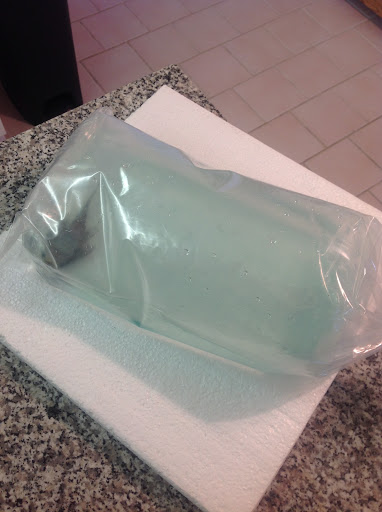 Pet Store «WorldWide Fish & Pets», reviews and photos, 61 Amity Rd, New Haven, CT 06515, USA