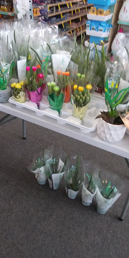 Drug Store «CVS», reviews and photos, 20 Burnside Ave, East Hartford, CT 06118, USA