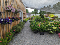 Three Seasons Landscape - Photo 7 - Car repair in Harvard, MA, Leominster