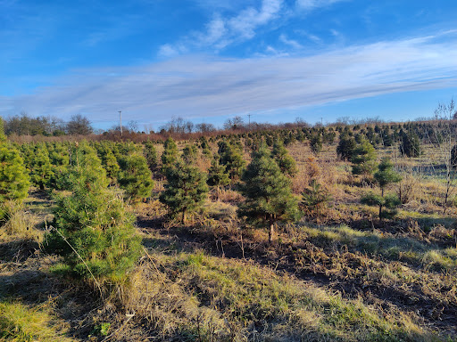 Farm «Abbey Farms», reviews and photos, 2855 Hart Rd, Aurora, IL 60502, USA