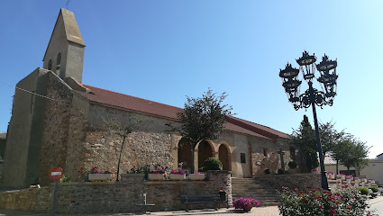 Nemesio Restaurante - C. de la Fuente, 17, 49141 Faramontanos de Tábara, Zamora, Spain