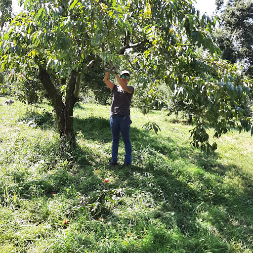 Hawk Hill Orchard