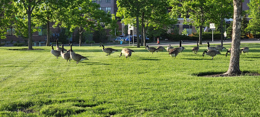 Park «Purgatory Creek Park Pavilion», reviews and photos, 13001 Technology Dr, Eden Prairie, MN 55344, USA