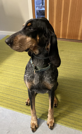 Pet Supply Store «Pet Life | Supplies, Services & Knowledge», reviews and photos, 1600 Woodbury Ave, Portsmouth, NH 03801, USA