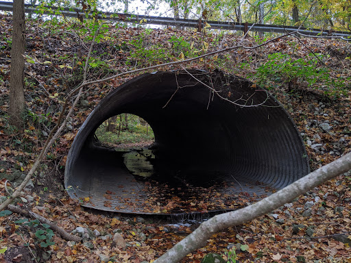 Nature Preserve «Kokiwanee Nature Preserve», reviews and photos, 5825 E 50 S, Lagro, IN 46941, USA