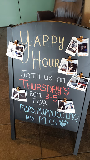 Coffee Shop «Starbucks», reviews and photos, 17326 Valley Mall Rd, Hagerstown, MD 21740, USA