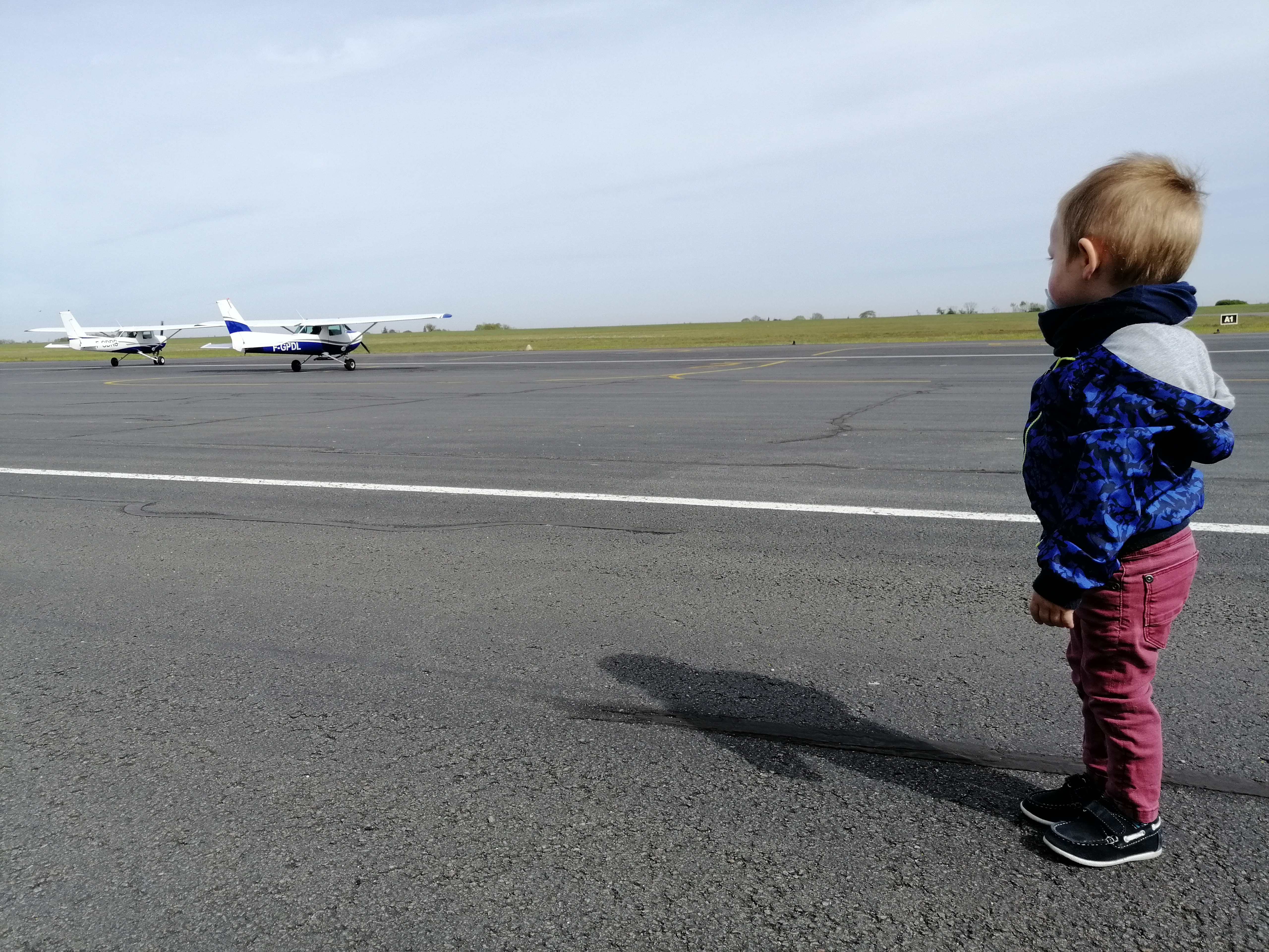 Photo n° 1 de l'avis de marion. fait le 15/04/2019 à 09:50