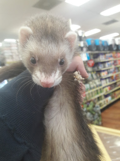 Pet Supply Store «Pet Supermarket», reviews and photos, 1800 W 68th St #140, Hialeah, FL 33014, USA