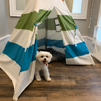 Little Pup Lounge Daycare & Boarding - Photo 2 - Car repair in Raleigh, NC, Raleigh