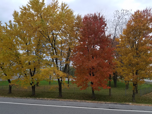 Sports Club «Sport Center 481», reviews and photos, 6841 Collamer Rd, East Syracuse, NY 13057, USA