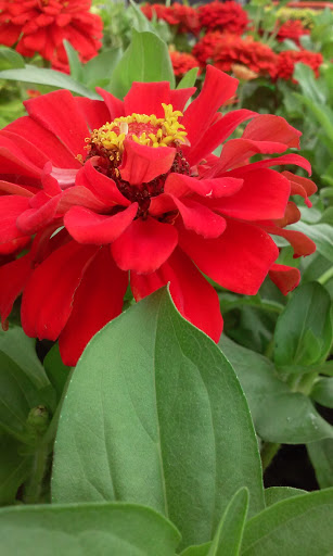 Home Improvement Store «The Home Depot», reviews and photos, 4121 U.S. 78, Lilburn, GA 30047, USA